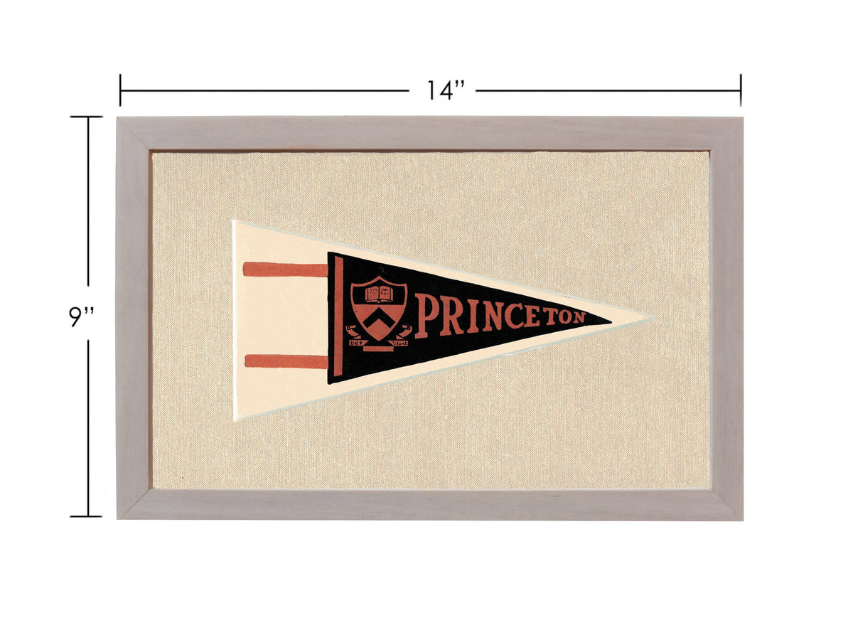 Americana Memories Vintage Pennants and Memorabilia Vintage Princeton Pennant