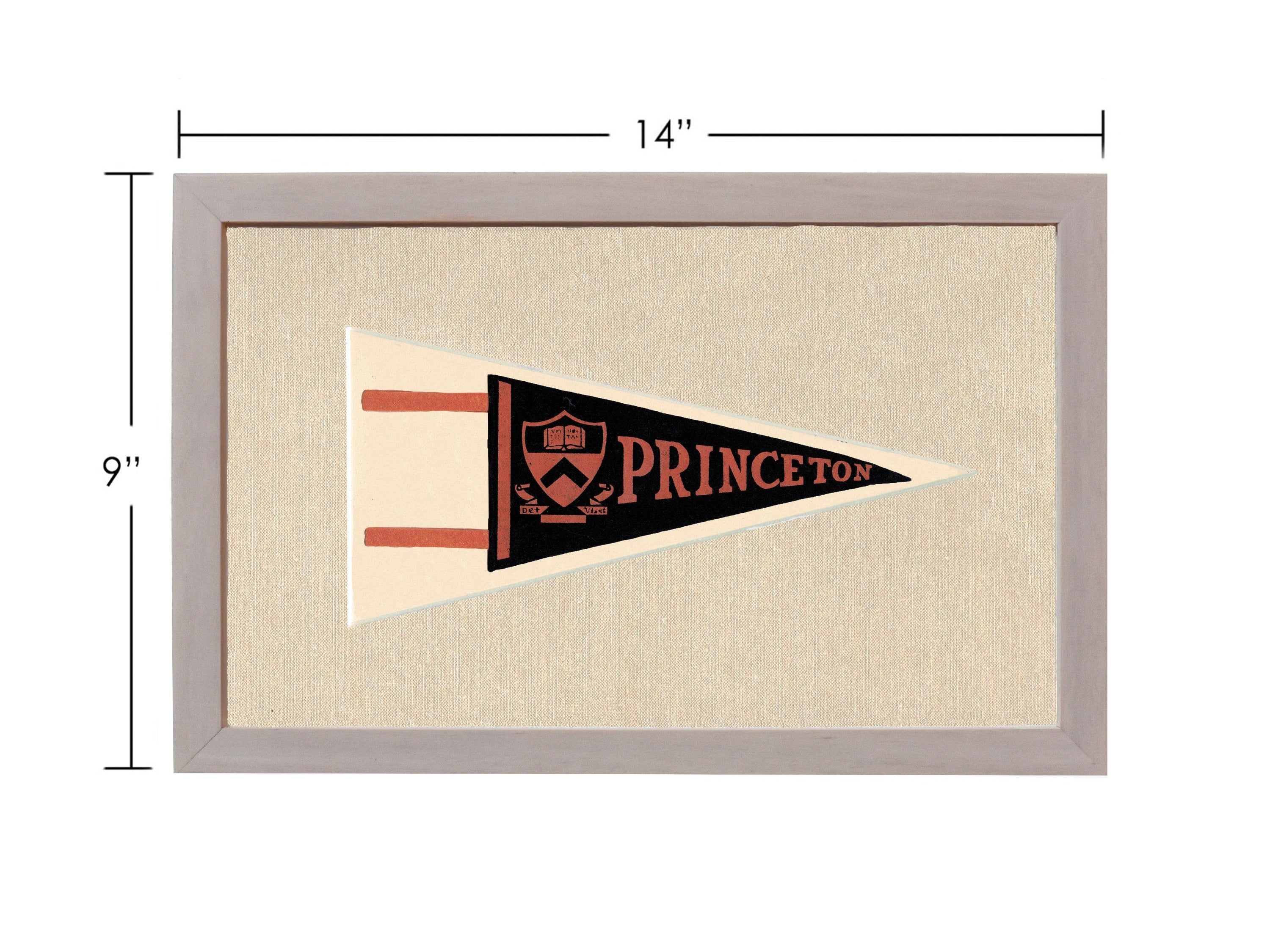 Americana Memories Vintage Pennants and Memorabilia Vintage Princeton Pennant