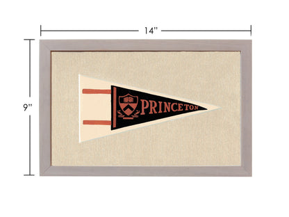 Americana Memories Vintage Pennants and Memorabilia Vintage Princeton Pennant