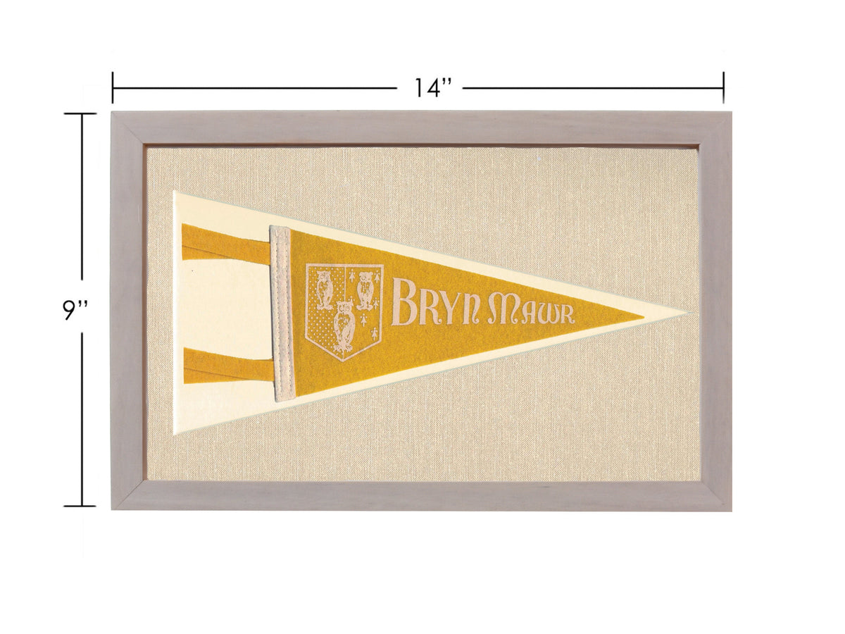 Vintage Bryn Mawr College Pennant