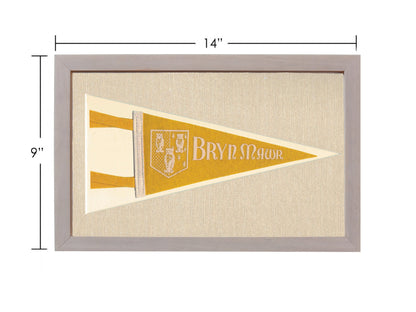 Vintage Bryn Mawr College Pennant