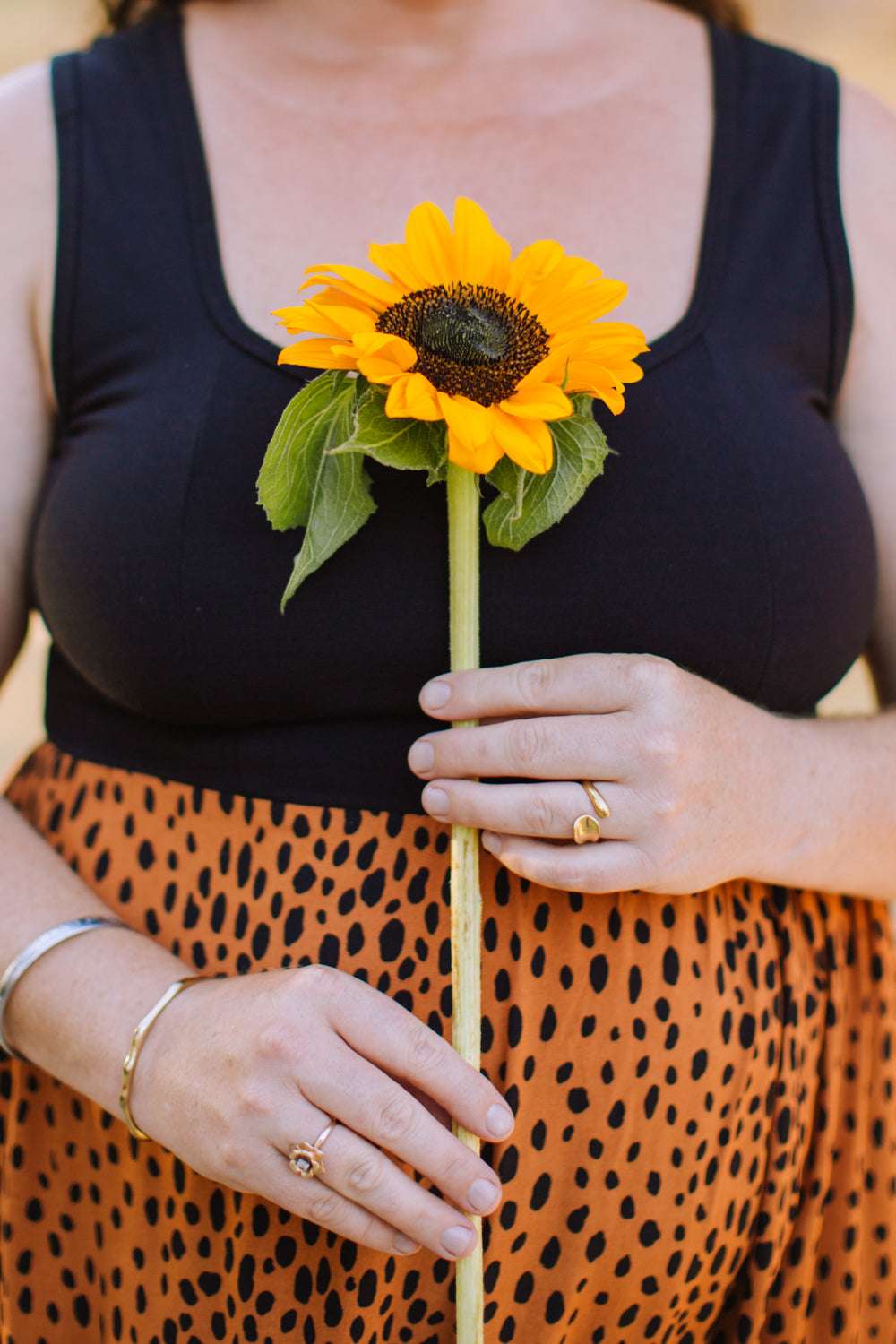 Field Day Dress Josephine Dress in Black &amp; Bam Bam