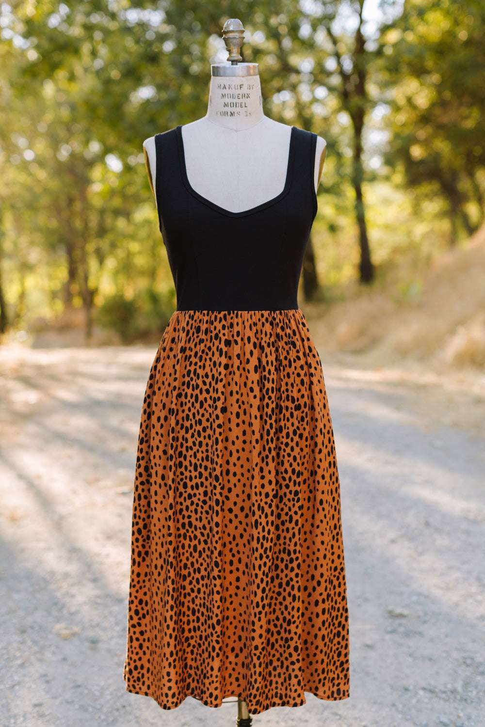 Field Day Dress Josephine Dress in Black &amp; Bam Bam