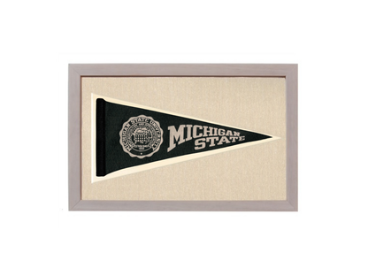 Vintage Michigan State Pennant