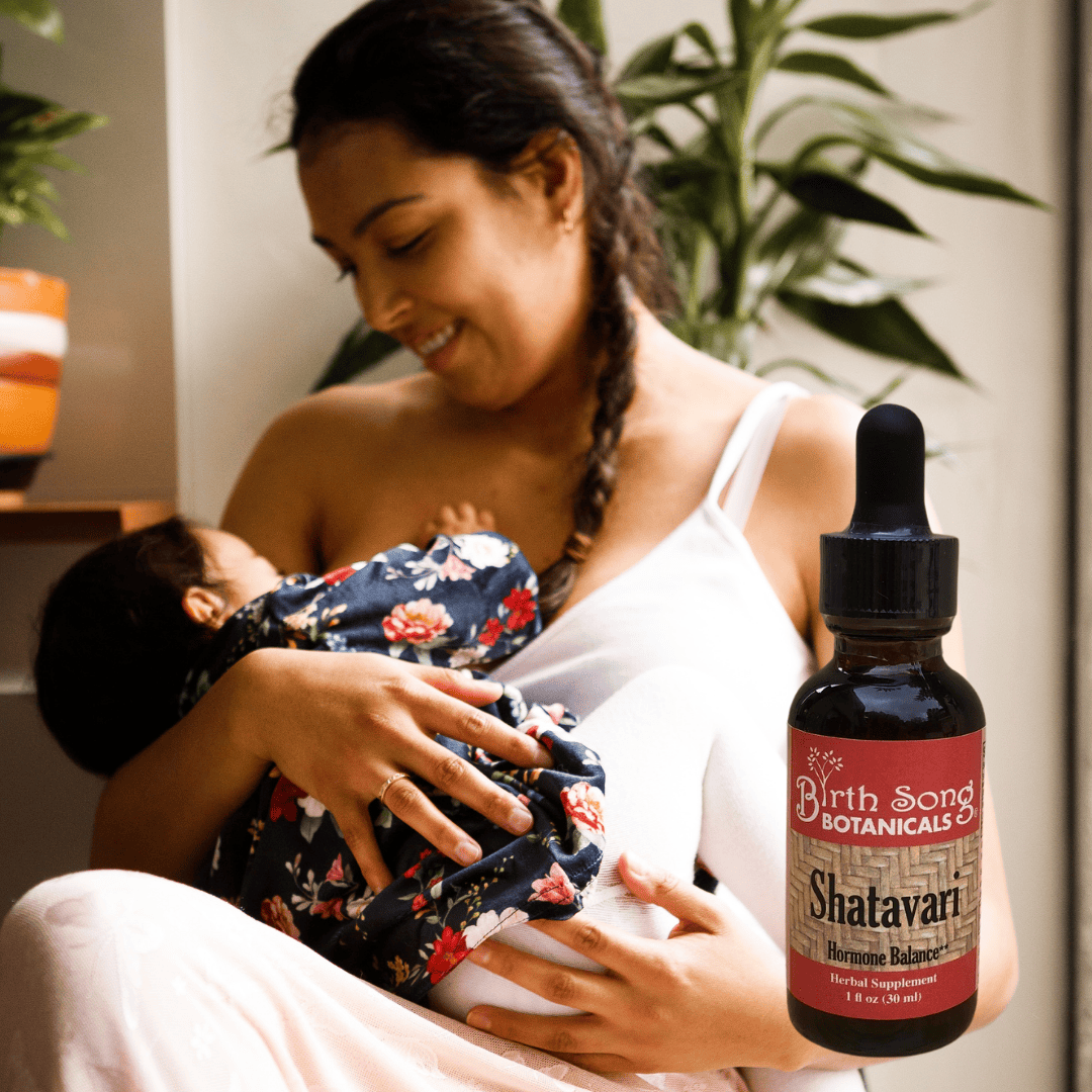Birth Song Botanicals Co. Tinctures Shatavari Root Tincture Herbal Supplement 1 oz