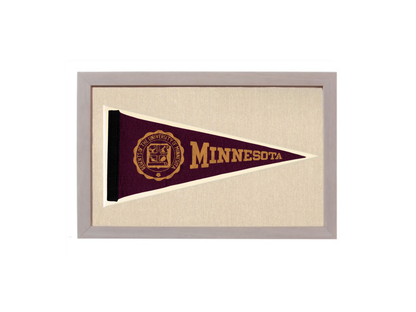 Vintage Minnesota Pennant