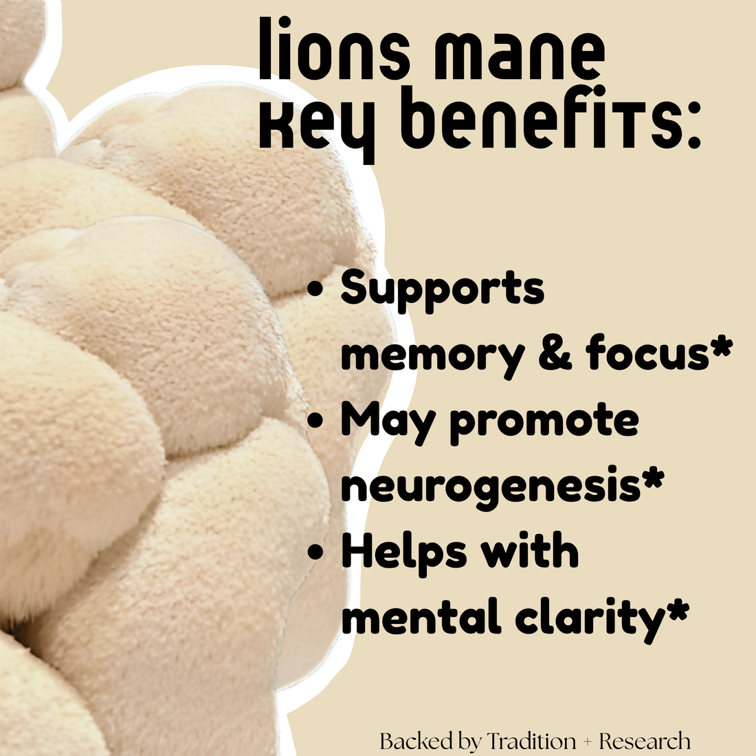 Lion’s Mane Mushroom Tincture - My American Goods