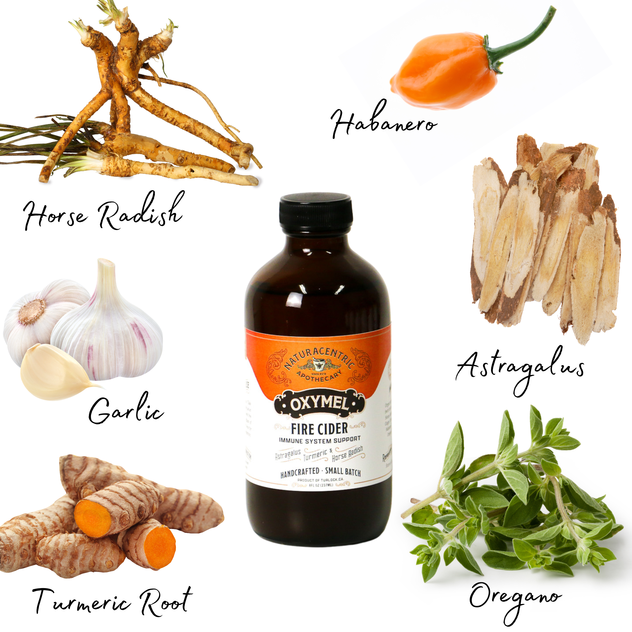 Fire Cider Oxymel