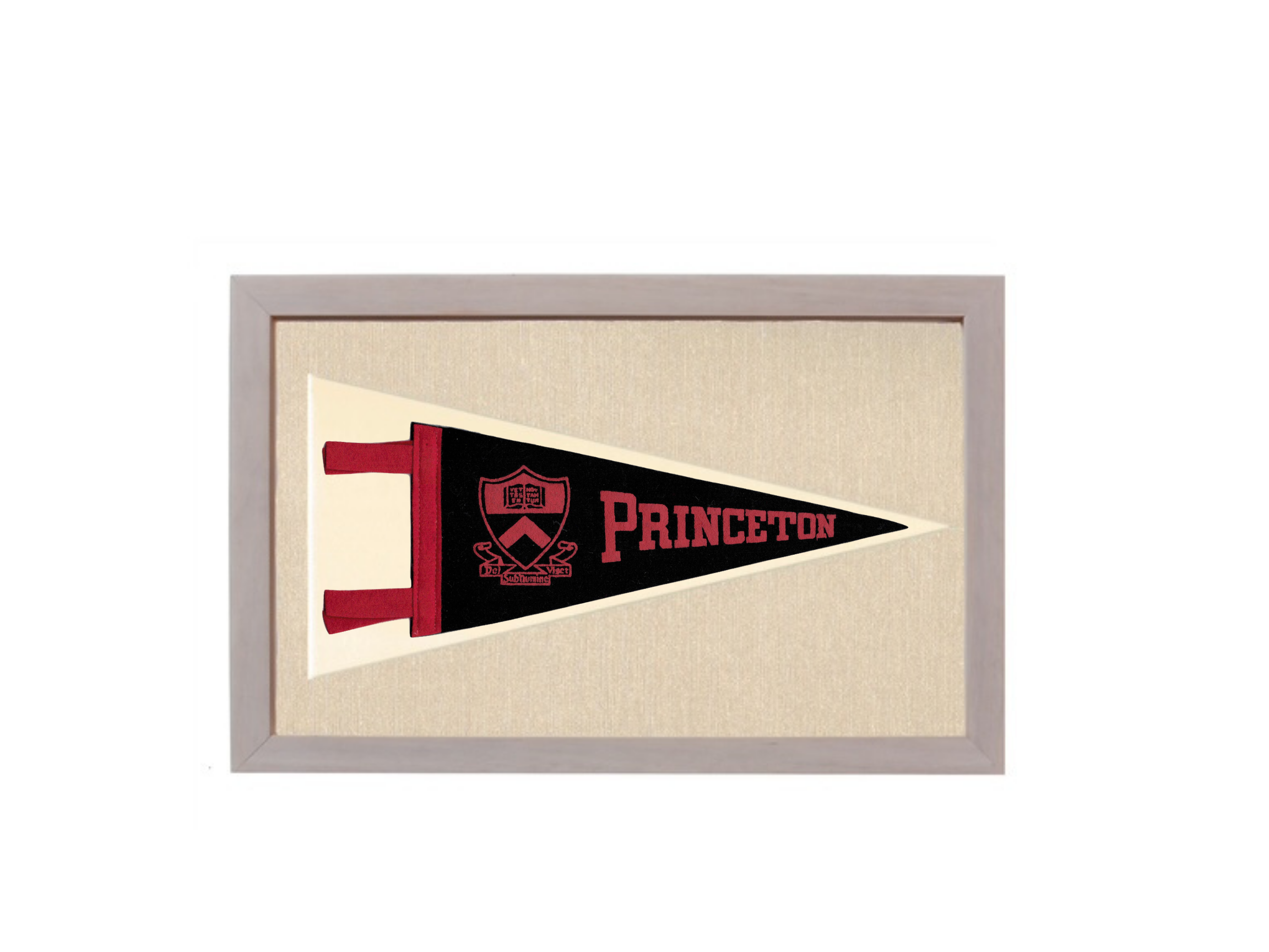 Vintage Princeton University Pennant