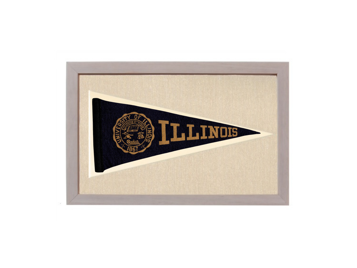 Vintage Illinois Pennant