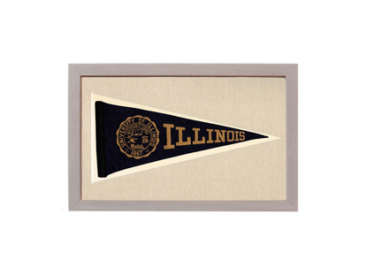 Vintage Illinois Pennant
