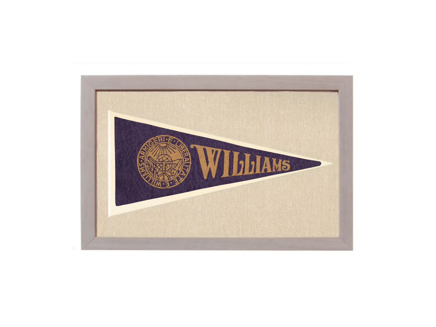 Vintage Williams College Pennant