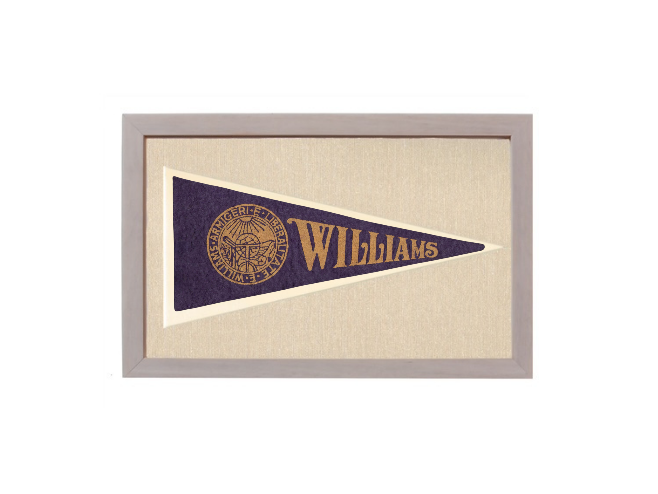 Vintage Williams College Pennant