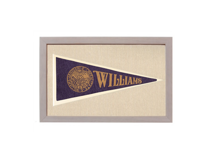 Vintage Williams College Pennant