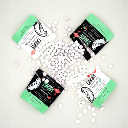 Canary Toothpaste Tablets 4 Pack Sampler of Canary Toothpaste Tablets