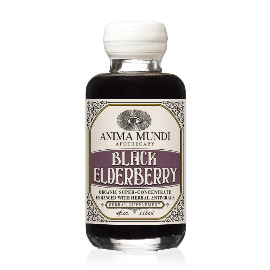Anima Mundi BLACK ELDERBERRY Elixir | Botanical Mushroom Syrup