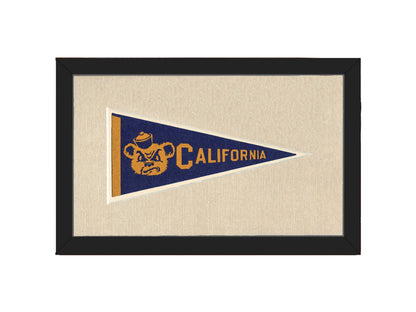 Americana Memories Vintage Pennants and Memorabilia Vintage University of California Pennant