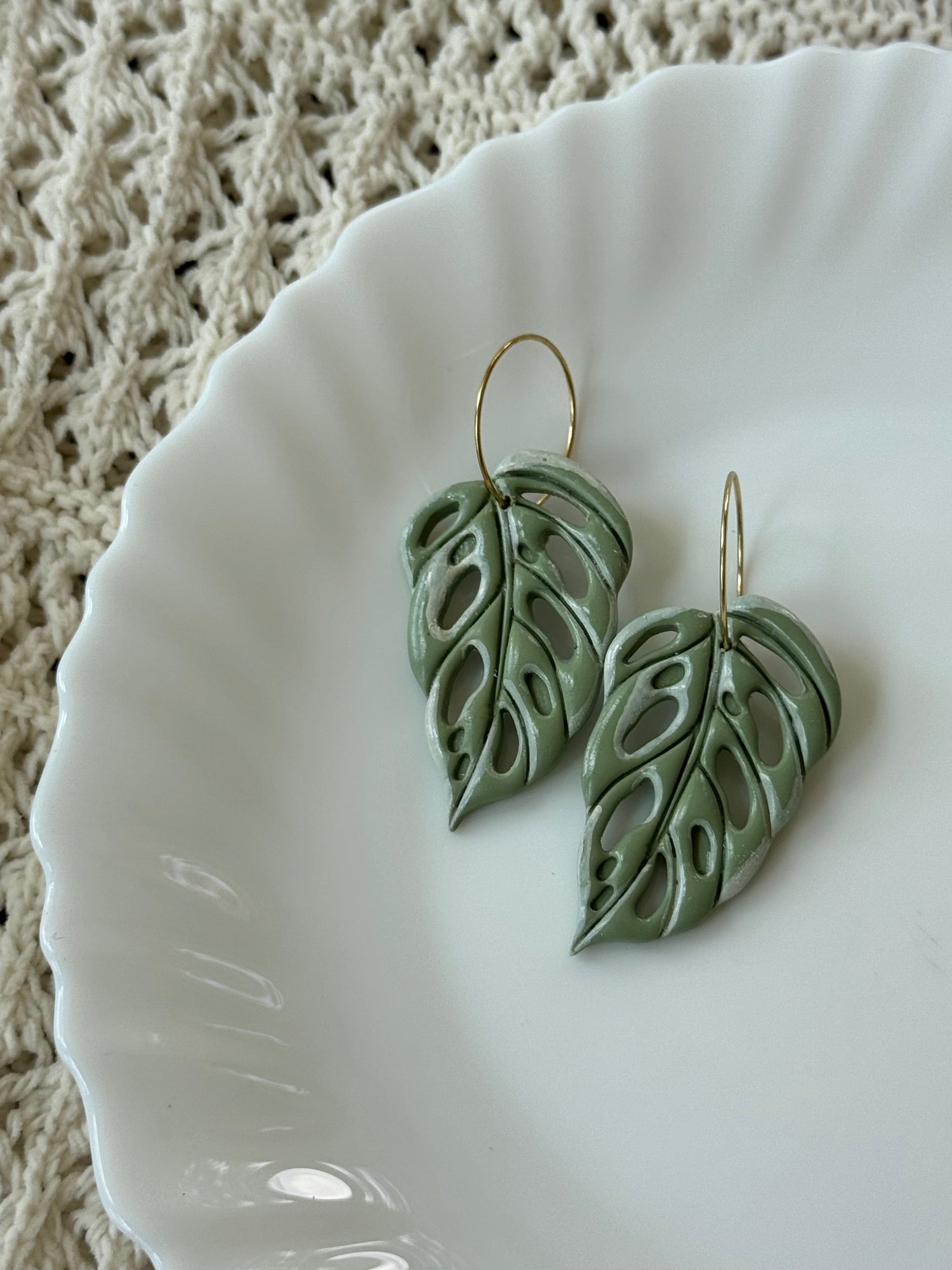 Shop Something Earthy Swiss Cheese Leaves