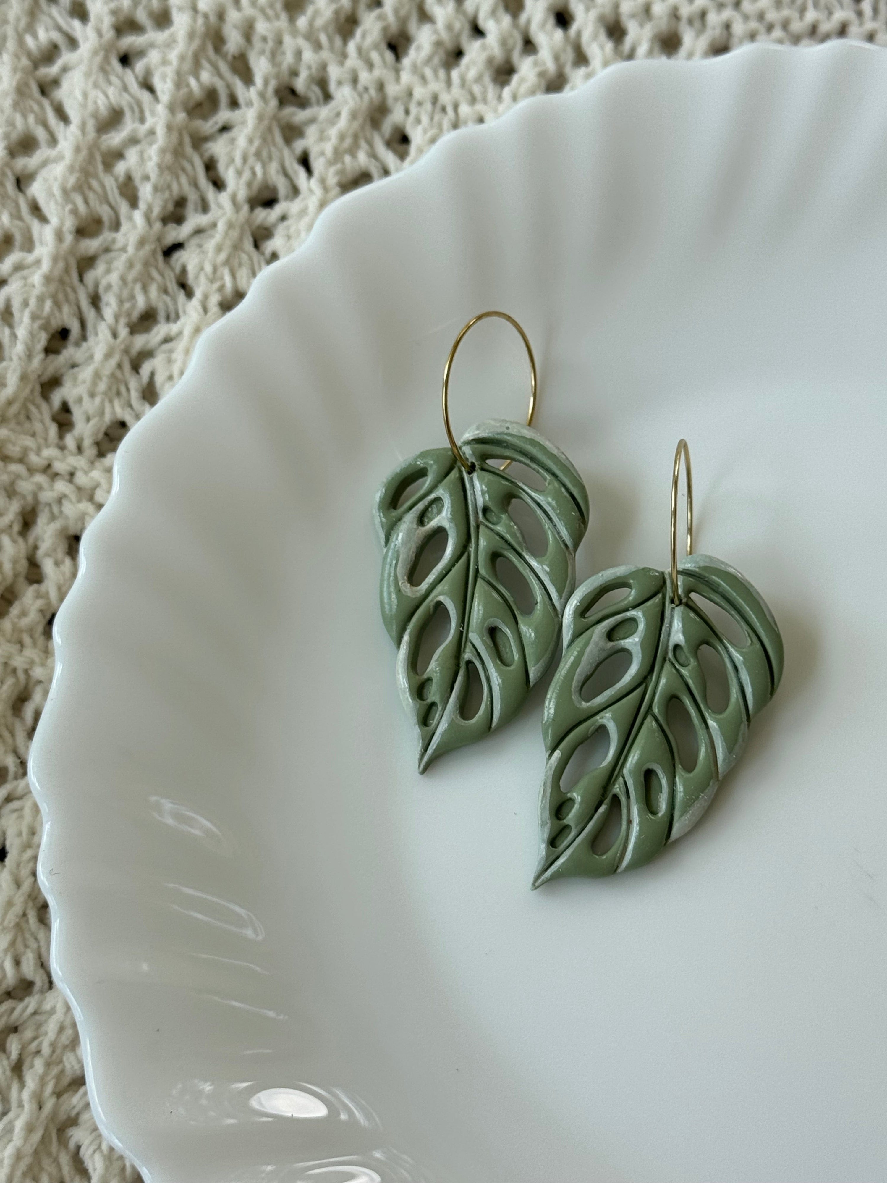 Shop Something Earthy Swiss Cheese Leaves