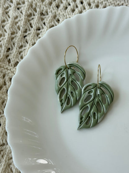 Shop Something Earthy Swiss Cheese Leaves