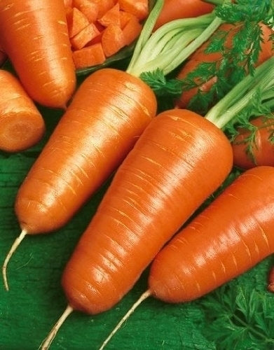 Chantenay Red Core Carrot Seeds