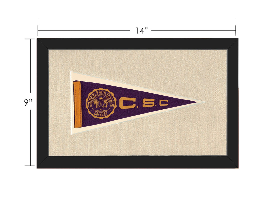 Vintage Colorado State College Pennant
