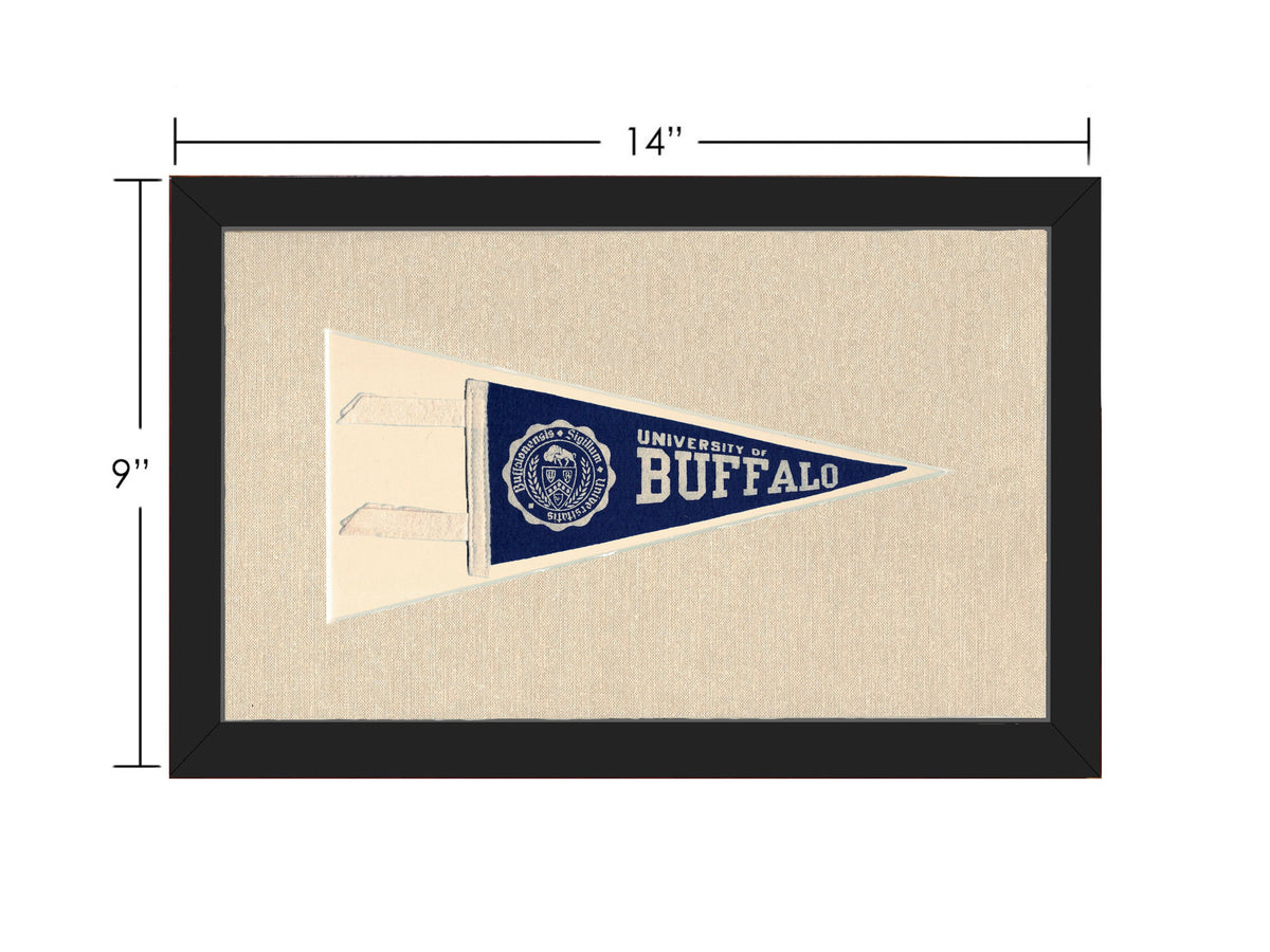 Vintage University of Buffalo Pennant