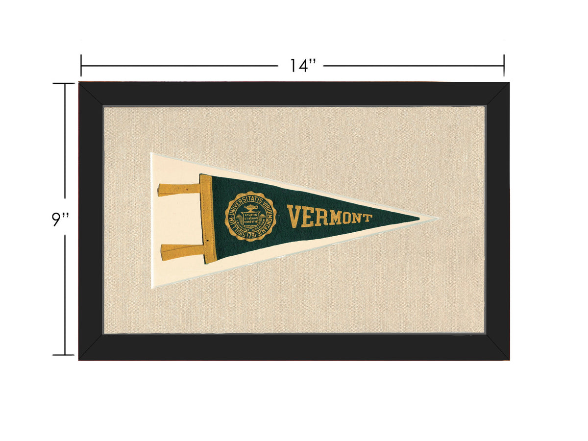Vintage Vermont University Pennant