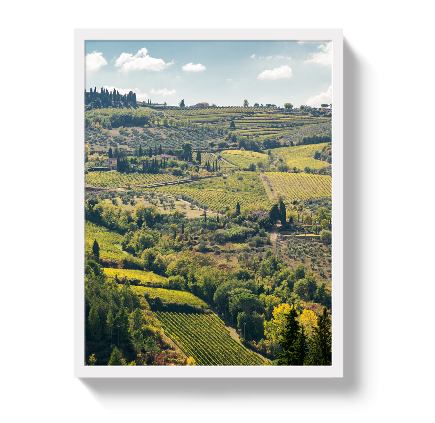 Tuscan Hills