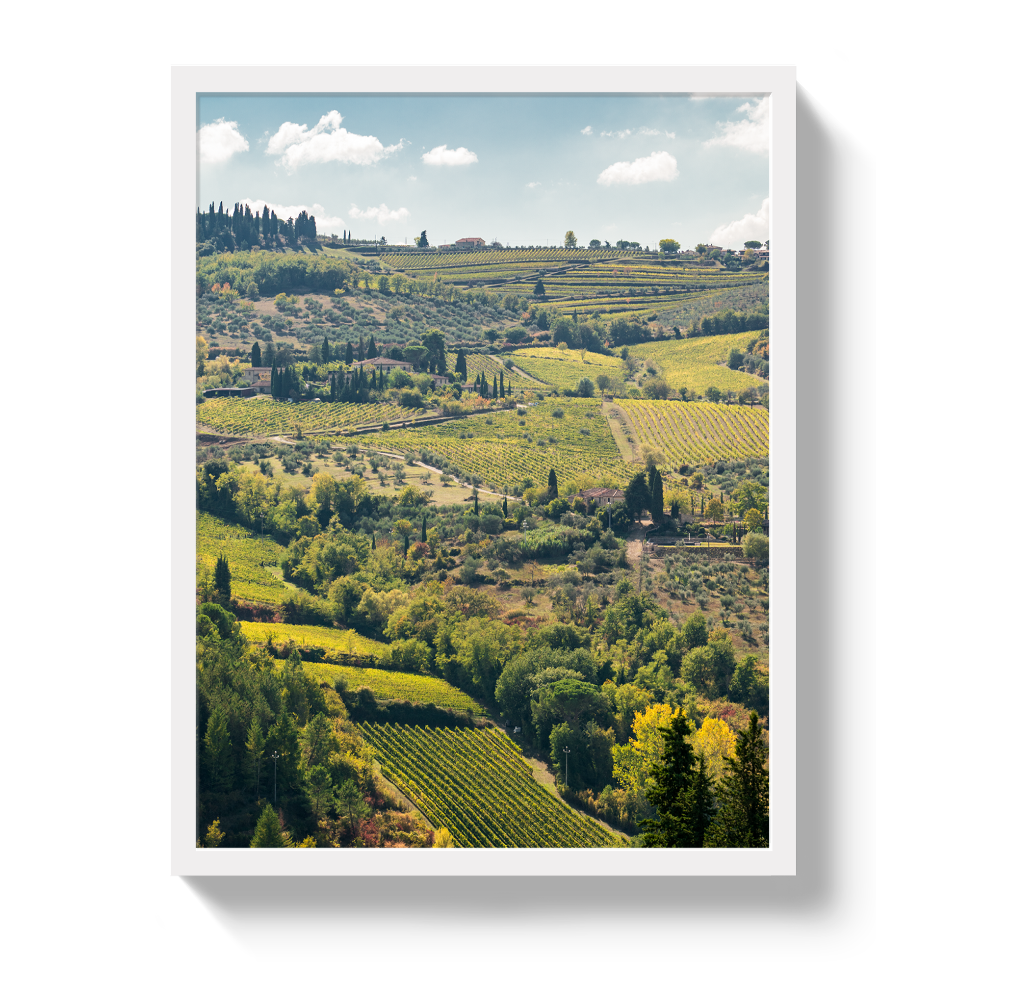 Tuscan Hills