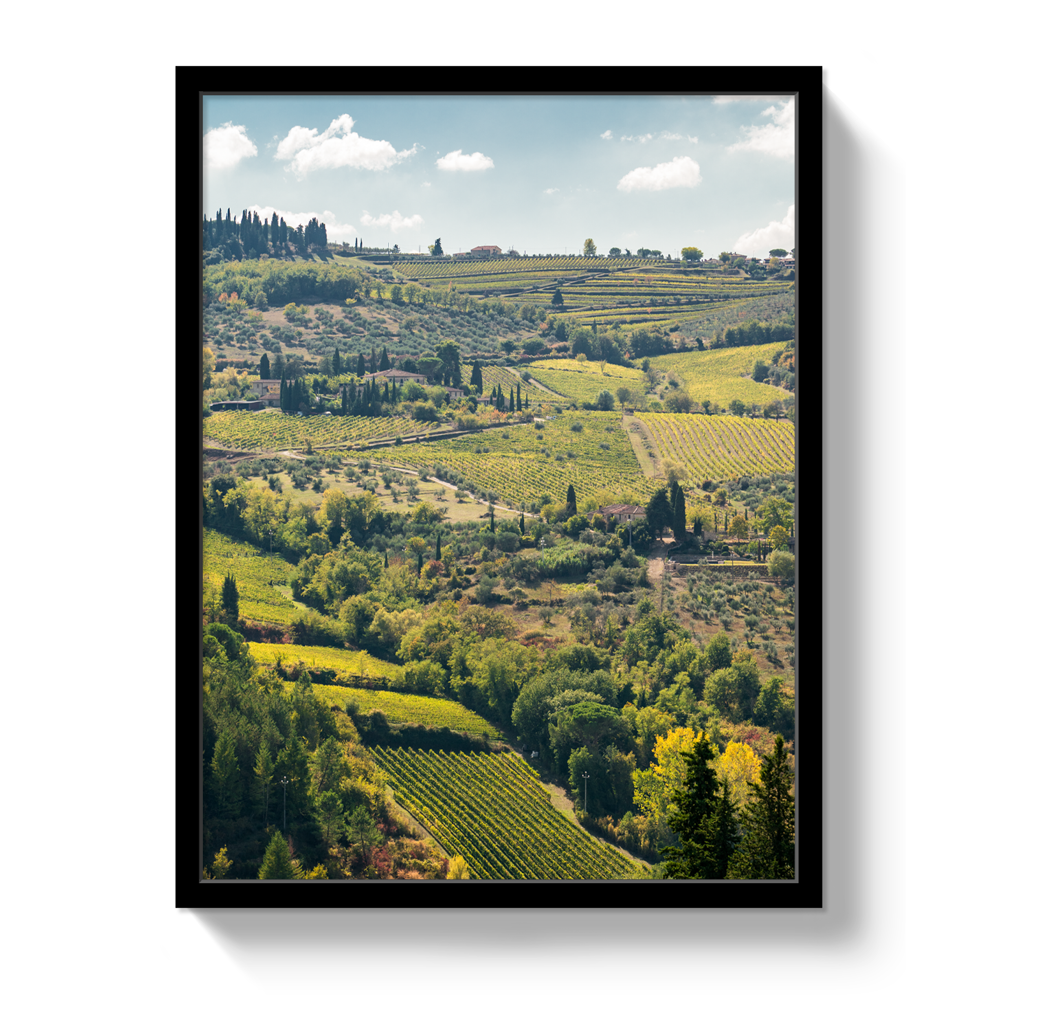 Tuscan Hills