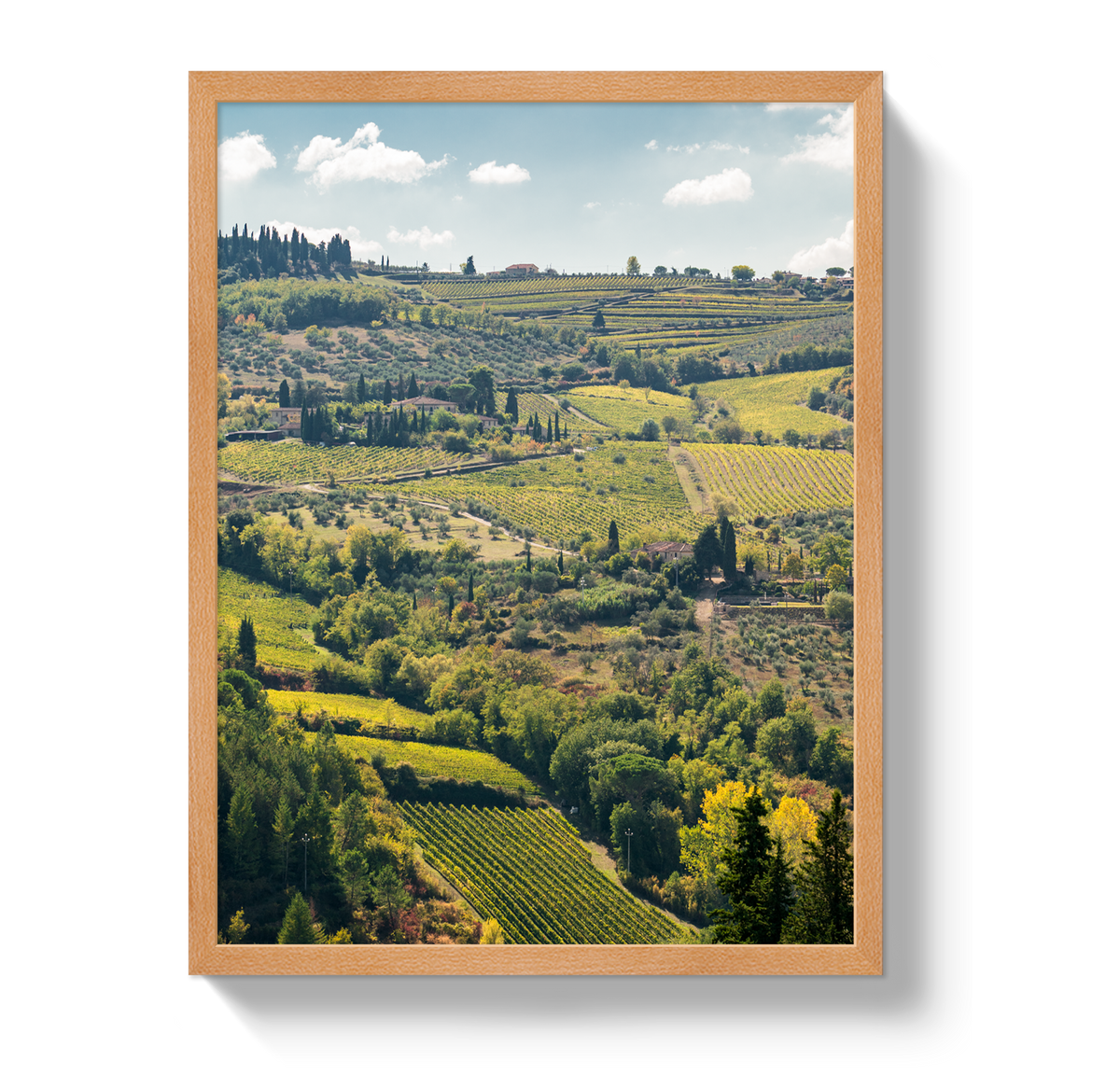 Tuscan Hills