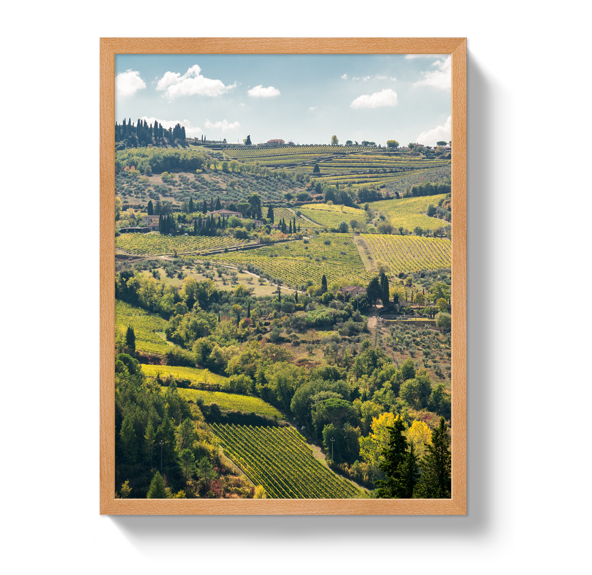 Tuscan Hills