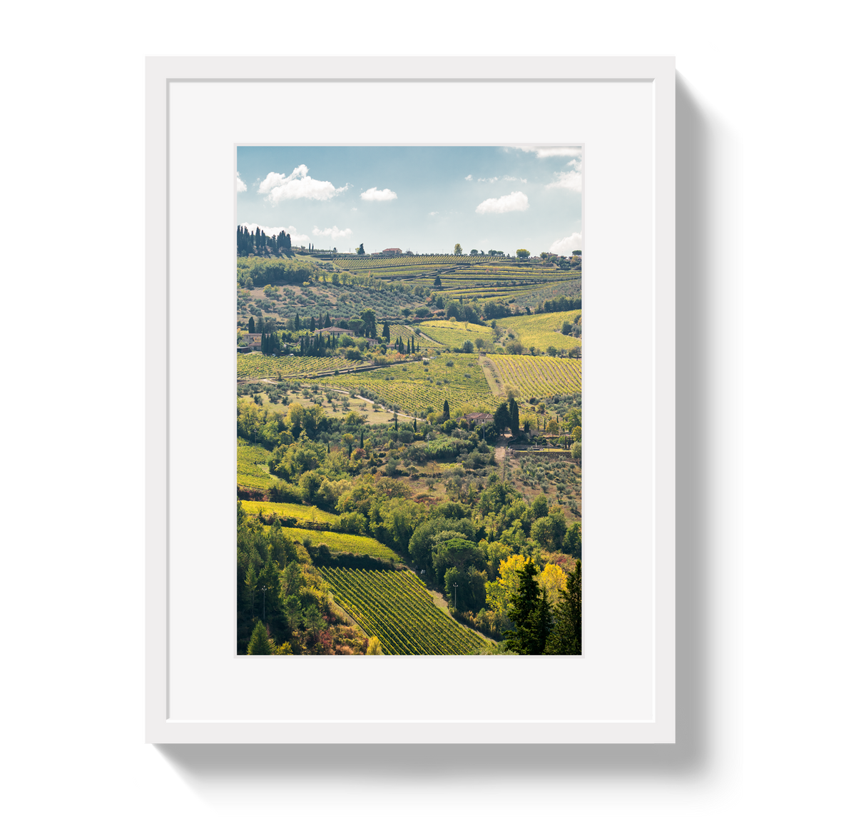 Tuscan Hills