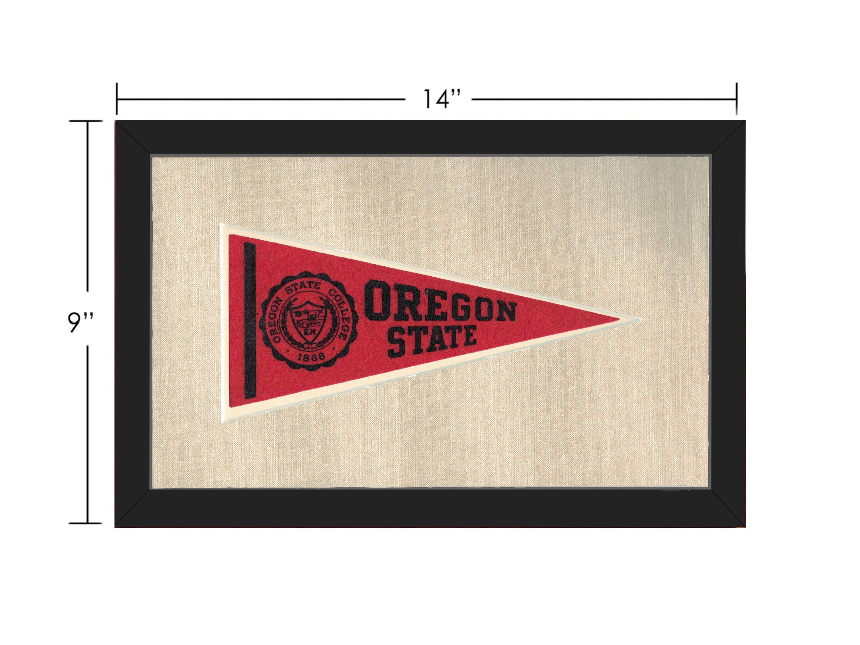 Vintage Michigan State Pennant