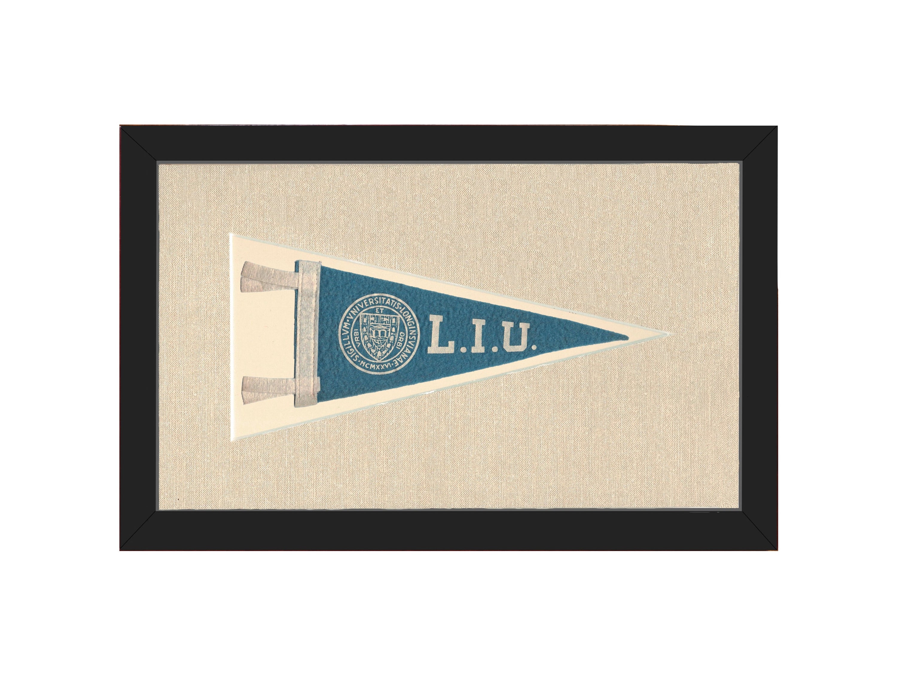 Vintage Long Island University Pennant