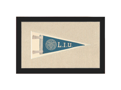 Vintage Long Island University Pennant