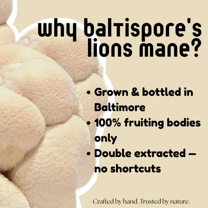 Lion’s Mane Mushroom Tincture - My American Goods