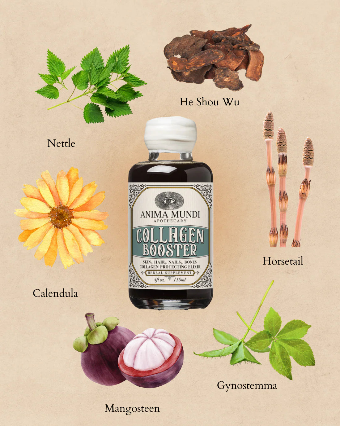 COLLAGEN BOOSTER Elixir | Botanical Radiance