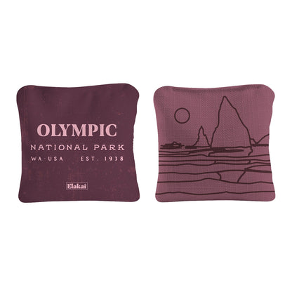 6-in Dual-Sided Cornhole Bags | National Parks Collection
