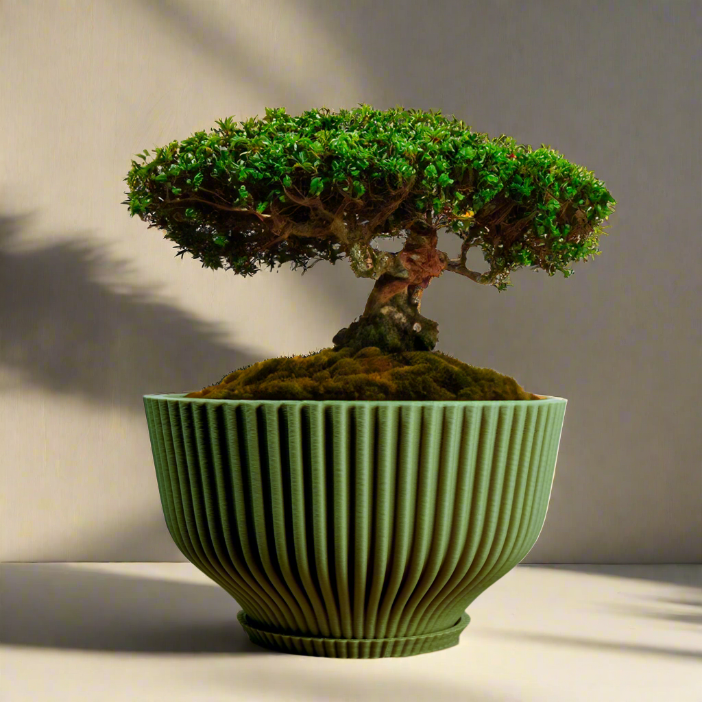 Bonsai Pot with Drainage &amp; Tray - My American Goods
