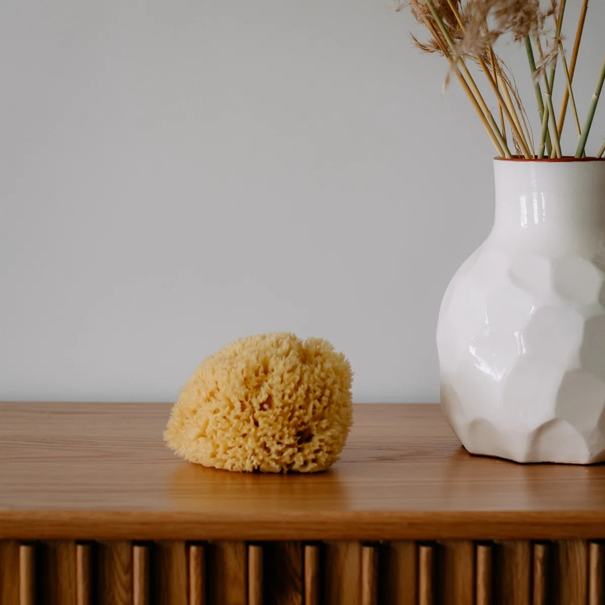 Sea Sponge - All Natural