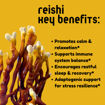 Reishi Mushroom Tincture - My American Goods
