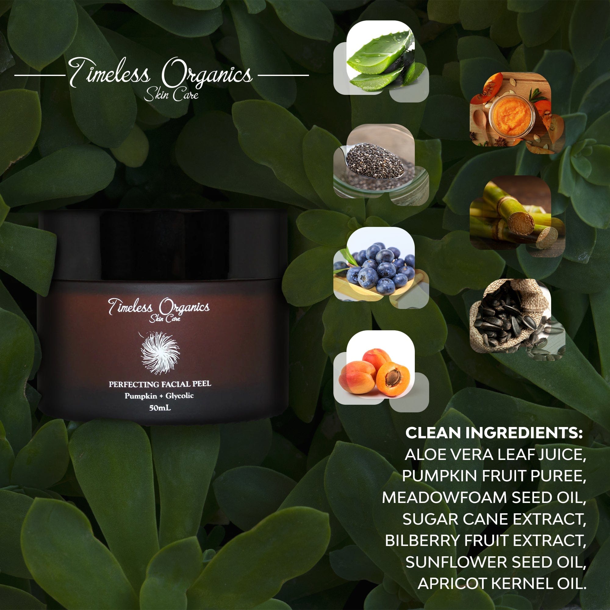 Timeless Organics Skin Care Pumpkin + Glycolic Facial Peel