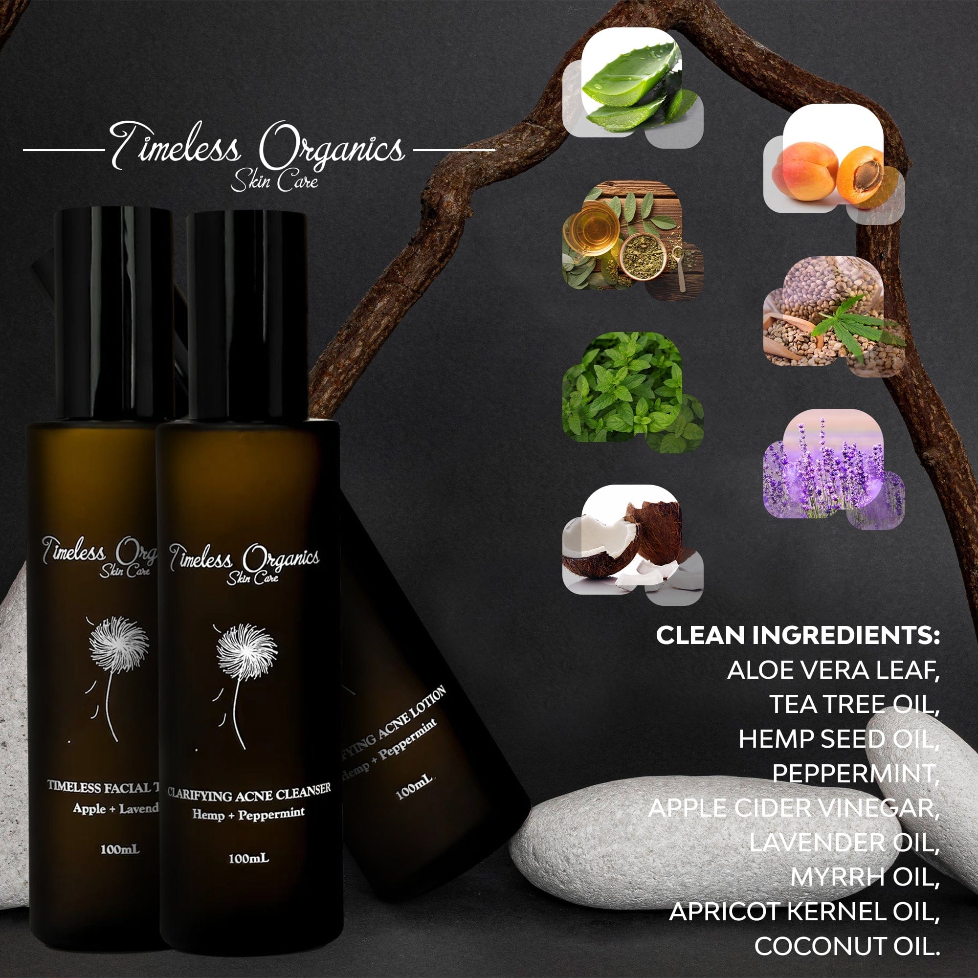 Timeless Organics Skin Care Kit 3-Step Acne System