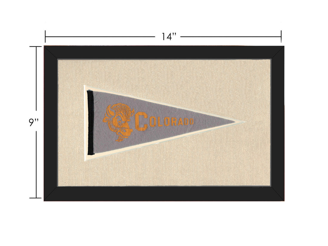 Vintage Colorado Pennant