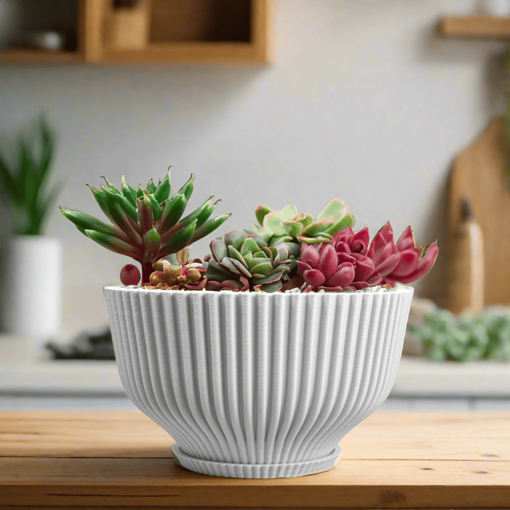 Rosebud HomeGoods Bonsai Pot with Drainage &amp; Tray