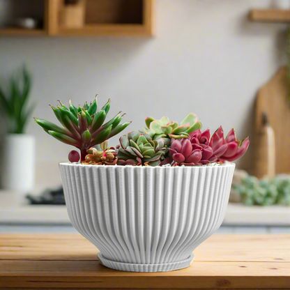 Bonsai Pot with Drainage &amp; Tray - My American Goods