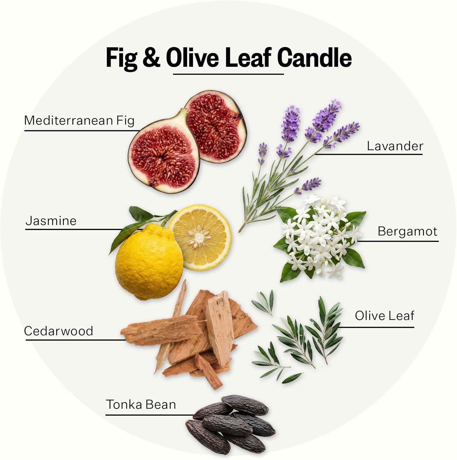 Fig and Olive Leaf Petite Candle