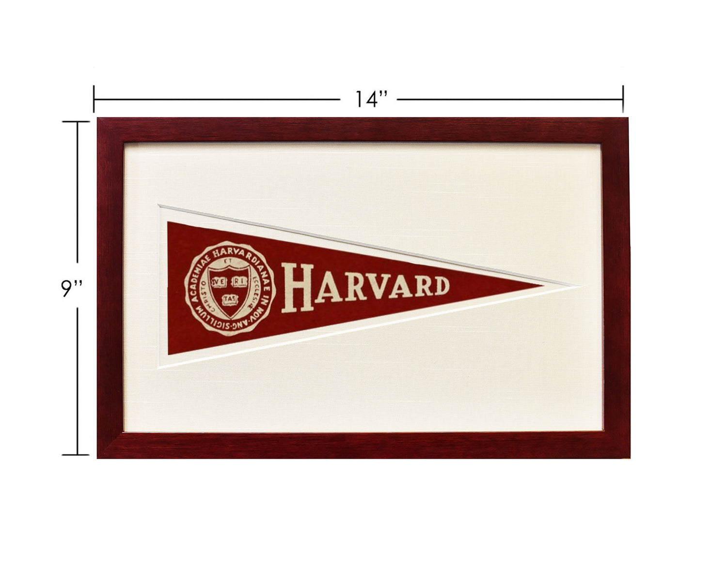 Vintage Harvard University Hormel Pennant